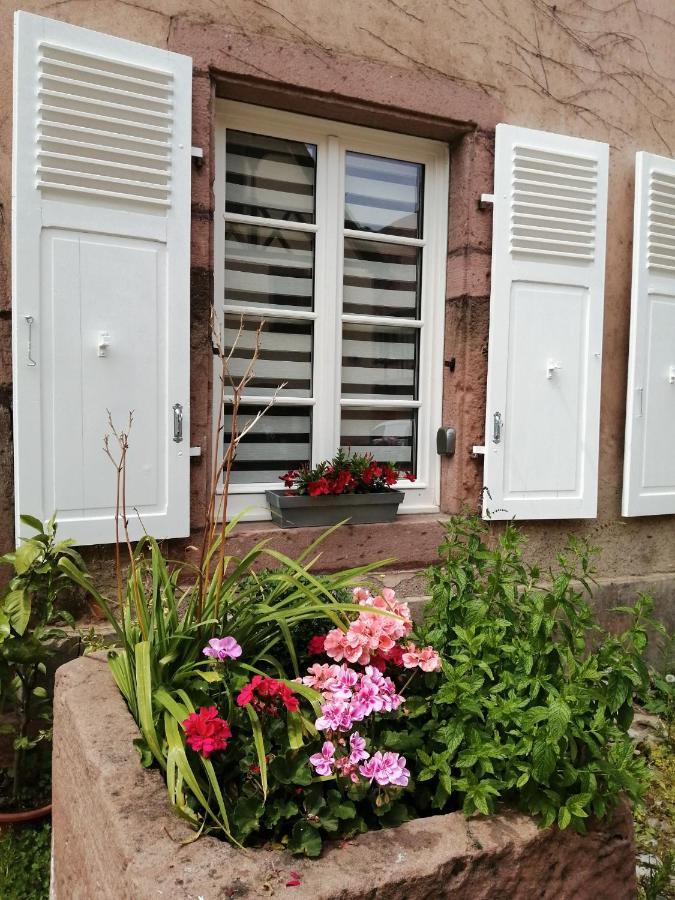 Gite Le Patio Kaysersberg-Vignoble Exterior foto